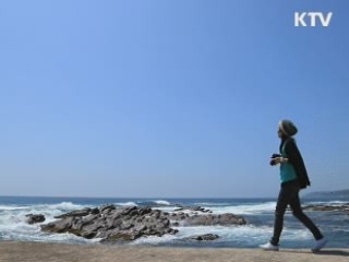 경북 영덕 차유마을