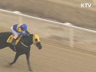 불법 사설경마 급증…단속 대폭 강화