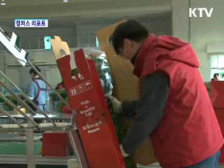 한국 장미 세계를 매혹하다