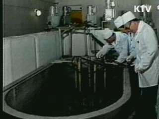 "北 비핵화 진전되면 경수로 논의 가능"