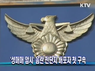 '성매매 암시' 음란 전단지 배포자 첫 구속