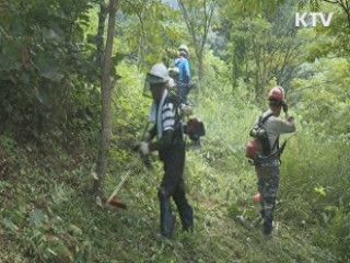추석 앞두고 예초기 안전사고 '주의보'