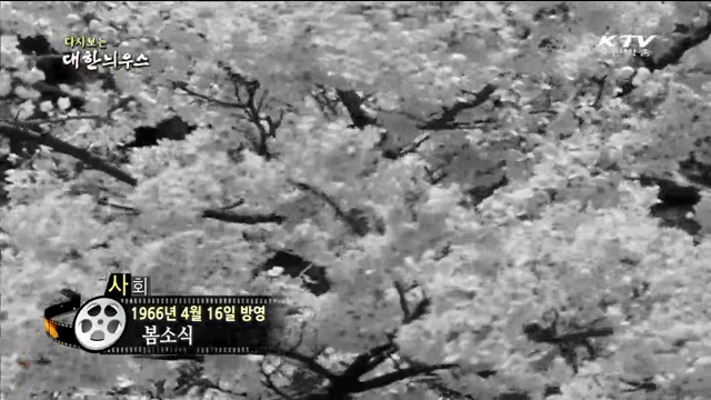 다시보는 대한늬우스 (66.04.16)