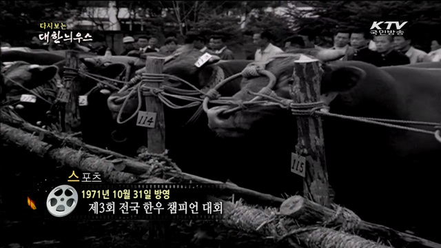 다시보는 대한늬우스 (71.10.31)