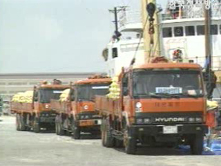 `초기 이행조치 지연 큰 문제 아니다`