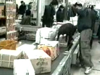 마약 `뿌리 뽑는다`