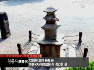 대동문화도-안성