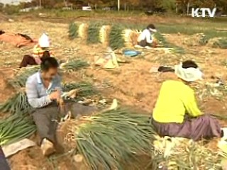 농식품부 사업, 절반으로 통폐합