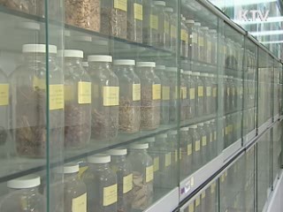 내년부터 한약재 원산지 표시 의무화