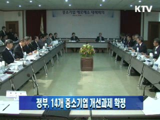 정부, 14개 중소기업 개선과제 확정