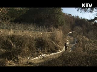 이 강에 살어리랏다