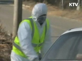 안동 구제역 추가 발생…방역 강화