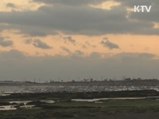 이 대통령, 세계 7대 자연경관 '제주도'에 한표