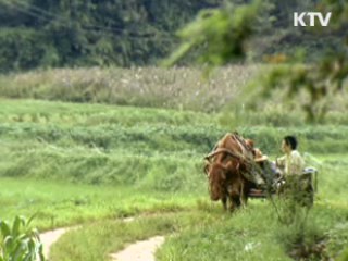 해외 진출 영화, 50%까지 금융기관 대출