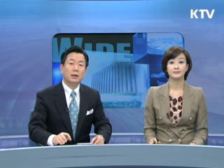 정책 와이드 (113회)