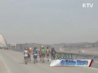 정책, 현장을 가다 [3·1절 마라톤 승촌보를 달린다]