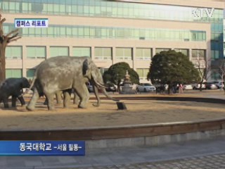 등록금 내린 만큼 수익사업 적극 유치