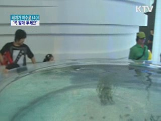 여수엑스포 출발 전 '꼭 알아 두세요'