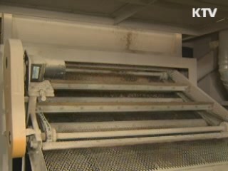 김장물가 비상…정부 합동대책반 가동