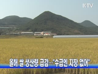 올해 쌀 생산량 급감···"수급에는 지장 없어"
