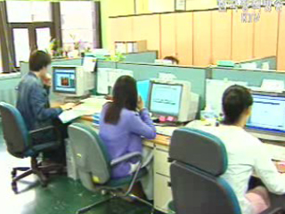 전문직, 정규직화 제외