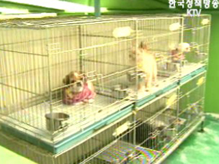 동물보호 수준높다