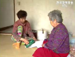 전문대학 혁신 프로그램 개발,보급