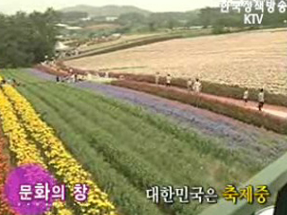 대한민국은 축제중 