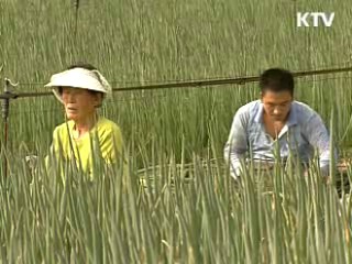 직불제·보조금 통·폐합…자립 강화