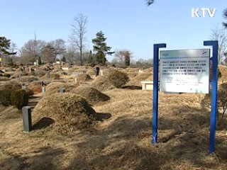 방치된 묘 6백만 기