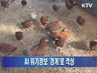 AI 위기경보 '경계'로 격상