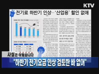 "하반기 전기요금 인상 검토한 바 없어"