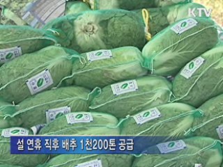 물가 4.1% 상승…돼지고기·배추 공급 확대