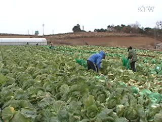 "선진 일류 농협 탄생, 적극 뒷받침"