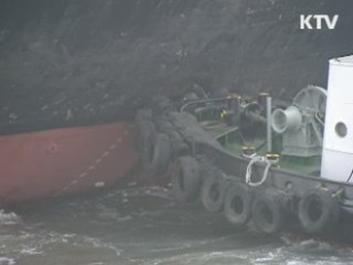 지난해 해운업 수출소득 300억달러 돌파