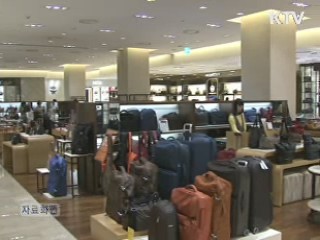 시계·의류 등 유럽산 고가품 수입 급증