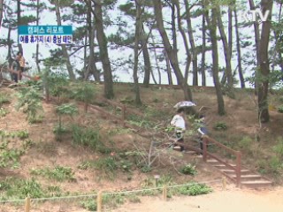 '수목원' '기암절벽' '맛' 찾아 태안으로 오세요 [캠퍼스 리포트]