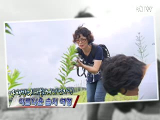 4대강과 어울러져 더 멋지다! 아름다운 습지 여행