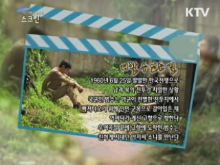 G20세대 영상창작 도화지 '스크린' (40회)