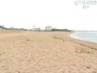 해안가 철책 제거