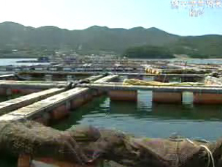 `참여로`부정차단