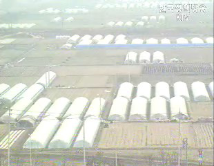 평택, 하반기부터 본격 개발