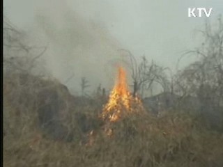 산불피해 극심, 대국민 담화 발표