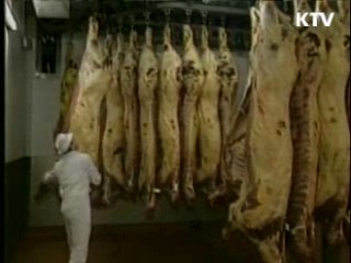 "美 쇠고기 수출작업장 이상 없어"
