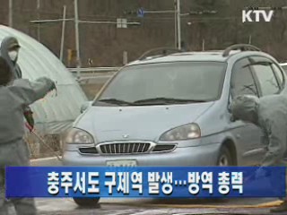 충주서도 구제역 발생…방역 총력