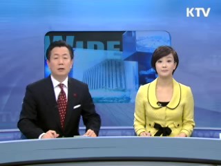 정책 와이드 (80회)