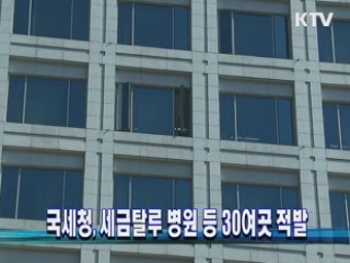 국세청, 세금탈루 병원 등 30여곳 적발