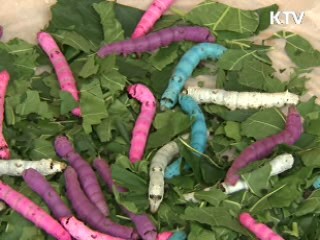 농진청 50년 '농업을 신성장동력으로'