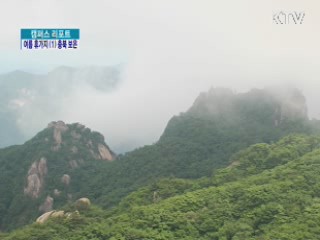 여름휴가지 (1) 충북 보은 [캠퍼스 리포트]