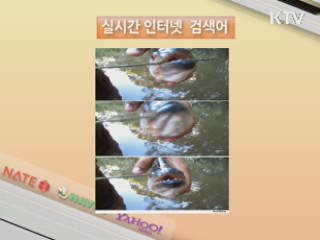 실시간 인터넷 검색어